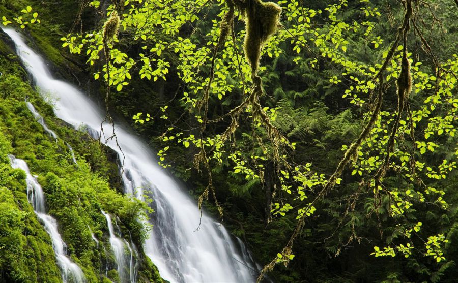 ����������ͼƬ