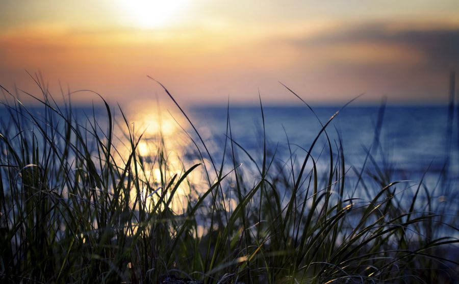 ̫ƽ�������-VB/VB.netͼƬ